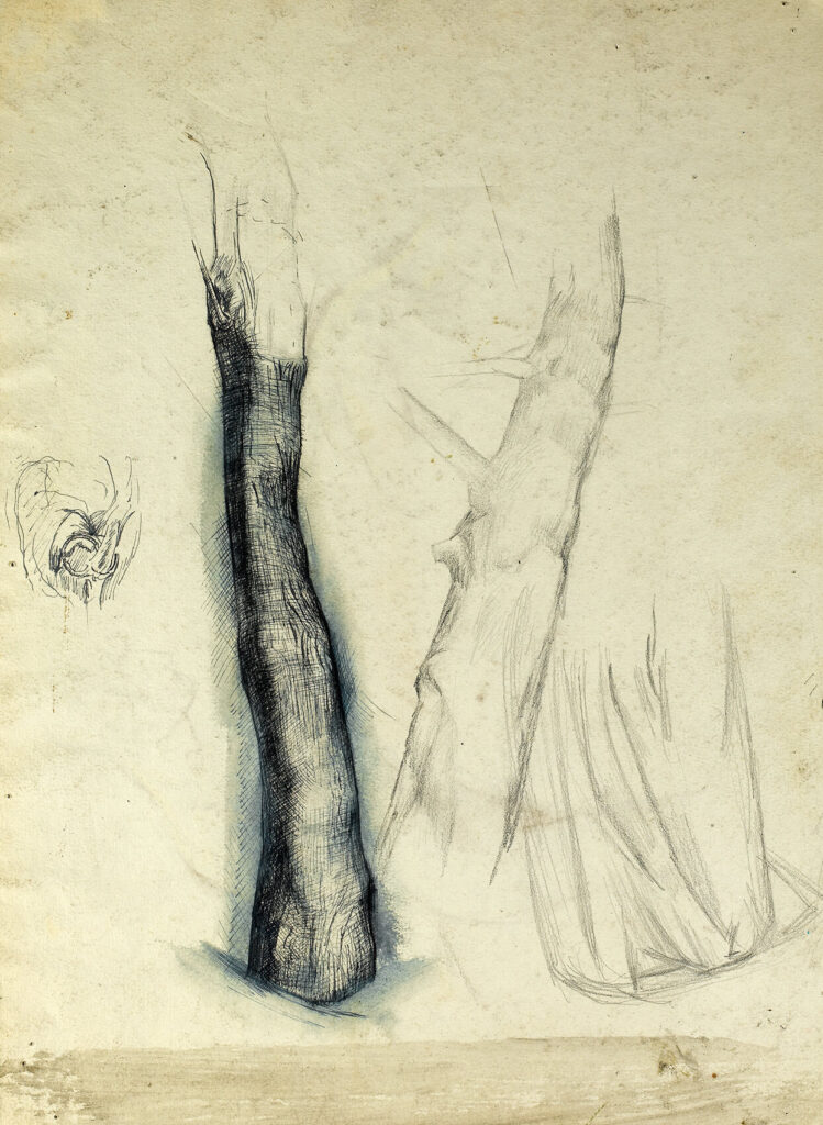 Alan Sorrell - Sheet of studies - tree trunk (recto);kneeling man (verso)