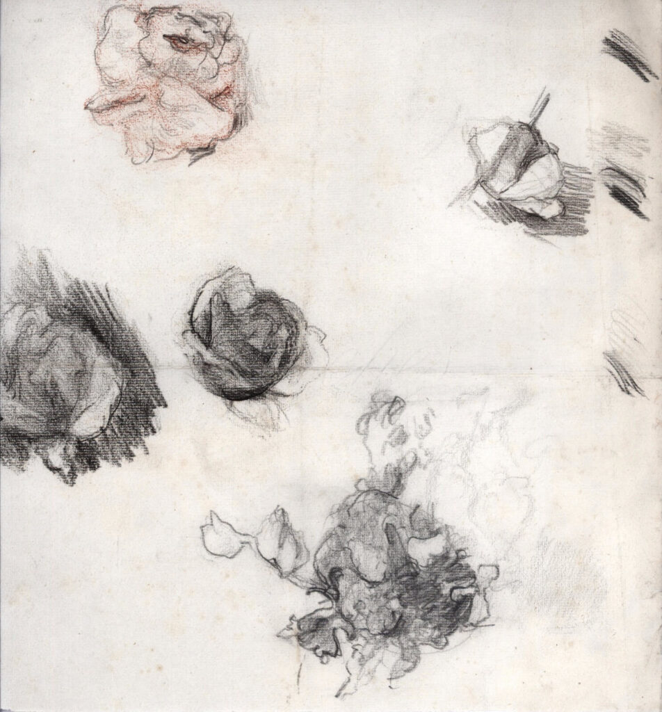 Albert de Belleroche - Sheet of flower studies