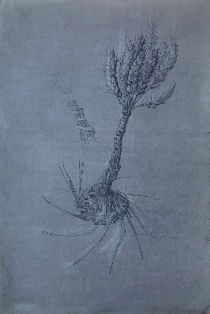 Anne Newland - Study for The Legend of Ceres