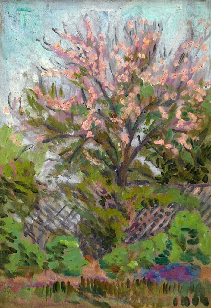 Arthur Studd - Cherry blossom with trellis fence below
