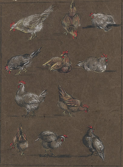 Barbara Constance Freeman - Study of Cockerels