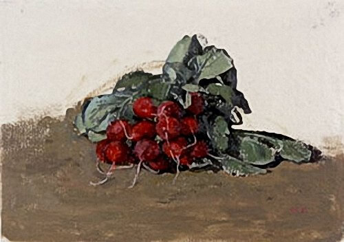 Carolyn Sergeant - A bunch of radishes