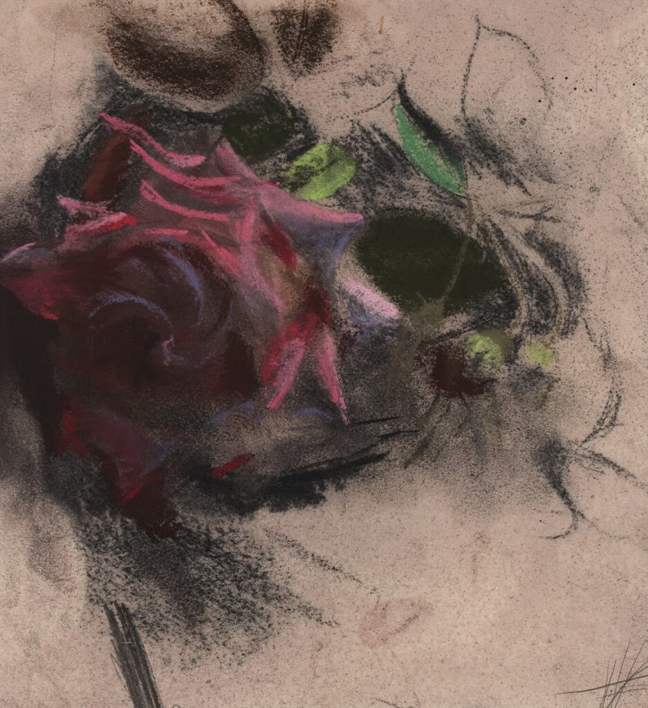 Catherine Olive Moody - Burgundy Hybrid Tea Rose