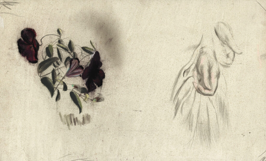 Catherine Olive Moody - Study of Clematis Viticella and closed Hand (seeding?)
