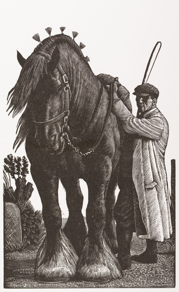 Charles Frederick Tunnicliffe R.A. - Stallion and Groom