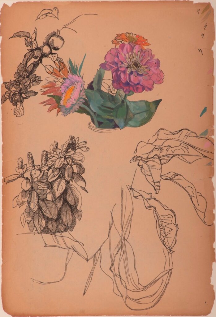 Charles Mahoney - Sheet of plant studies with Chrysanthemum flowers in a glass jar