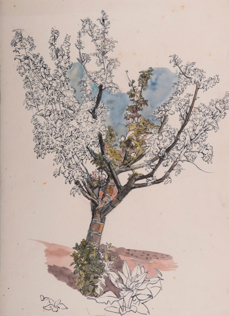 Charles Mahoney - Spring