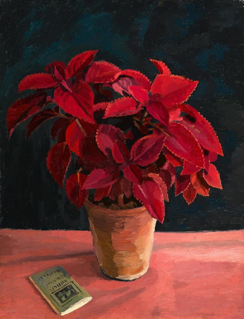 Charles Mahoney - Still life with artist's pamphlet Christmas Coleus