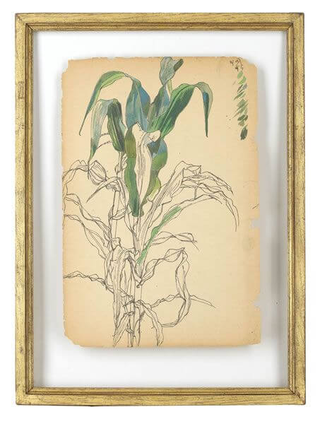 Charles Mahoney - Tulip leaves