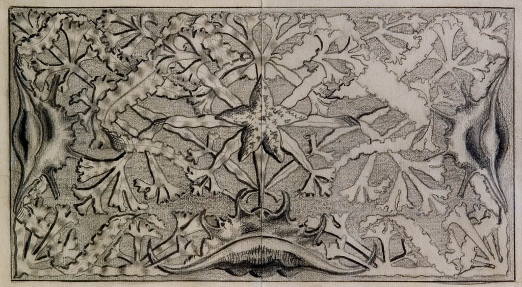 Charles Sargeant Jagger - Design with starfish