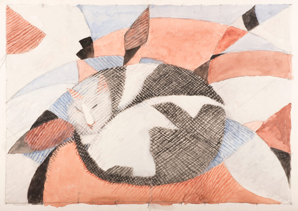 Edith Lawrence - Fat cat sleeping