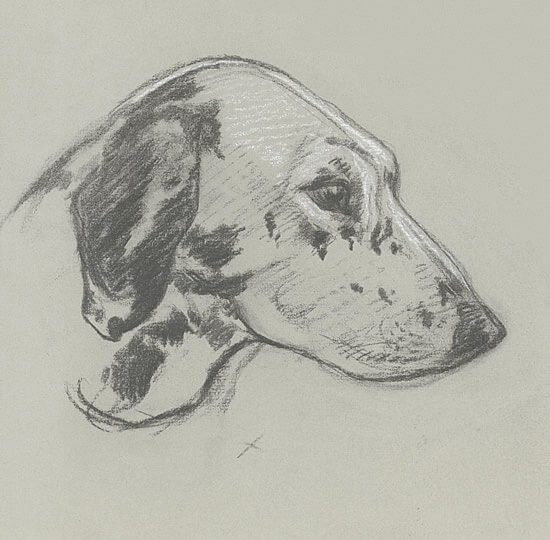 Edward Irvine Halliday - Head of a hunting dog
