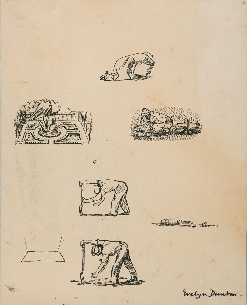 Evelyn Dunbar - Sheet of studies related to Gardener's Diary