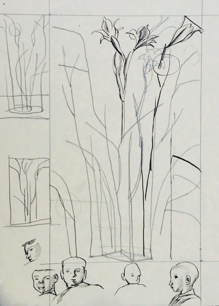 Evelyn Dunbar - Sketch of Gladiolus tristis