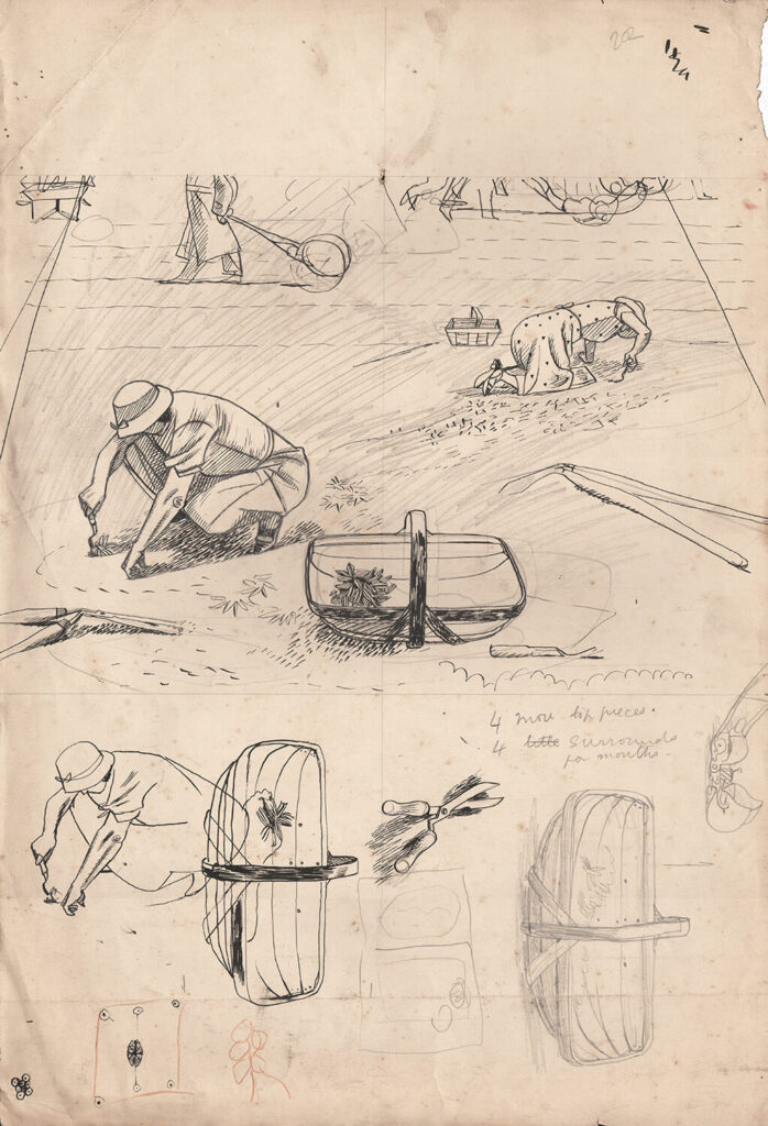 Evelyn Dunbar - Studies for endpapers for Gardeners Diary 1938