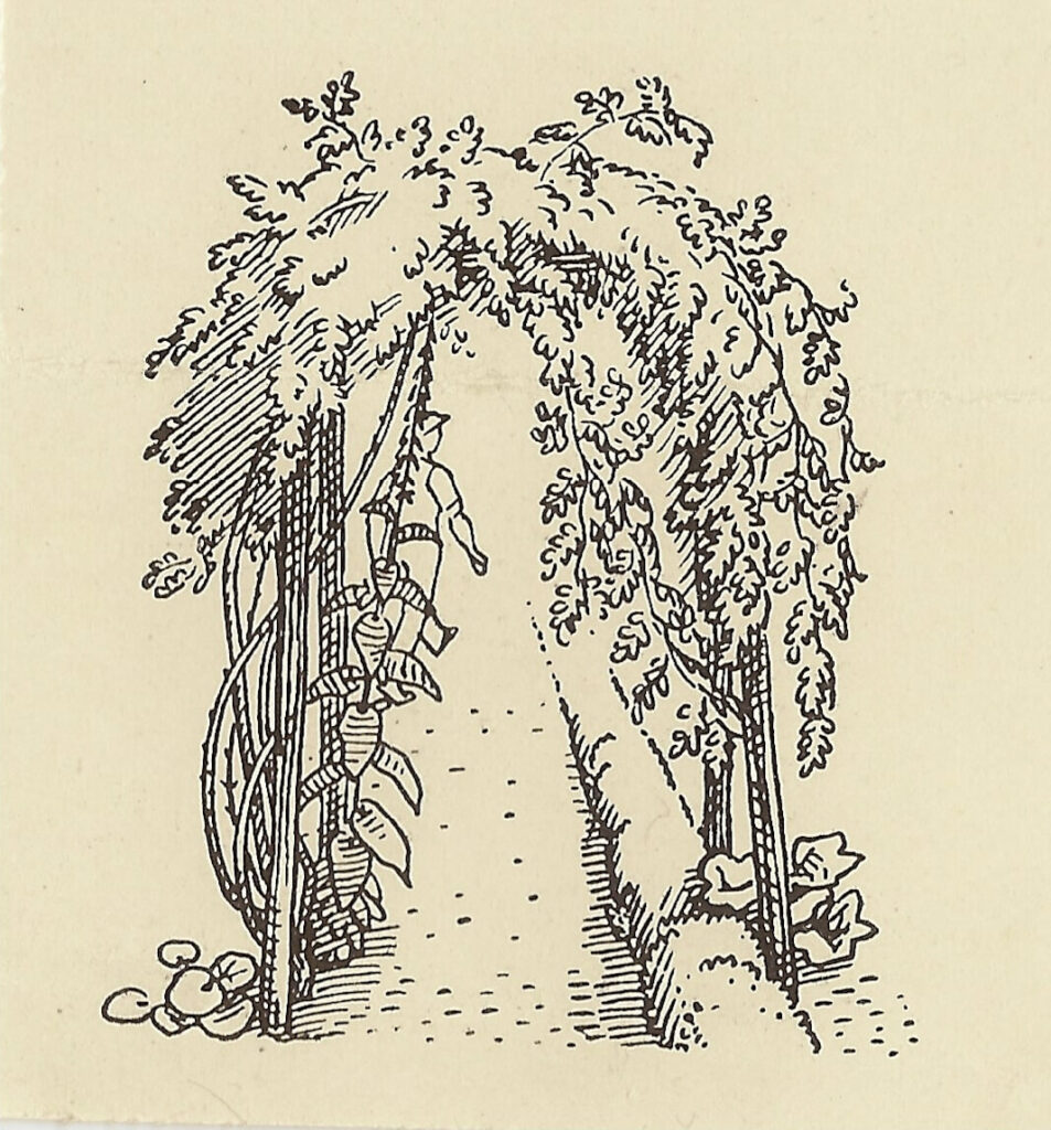 Evelyn Dunbar and Charles Mahoney - Design for flyleaf