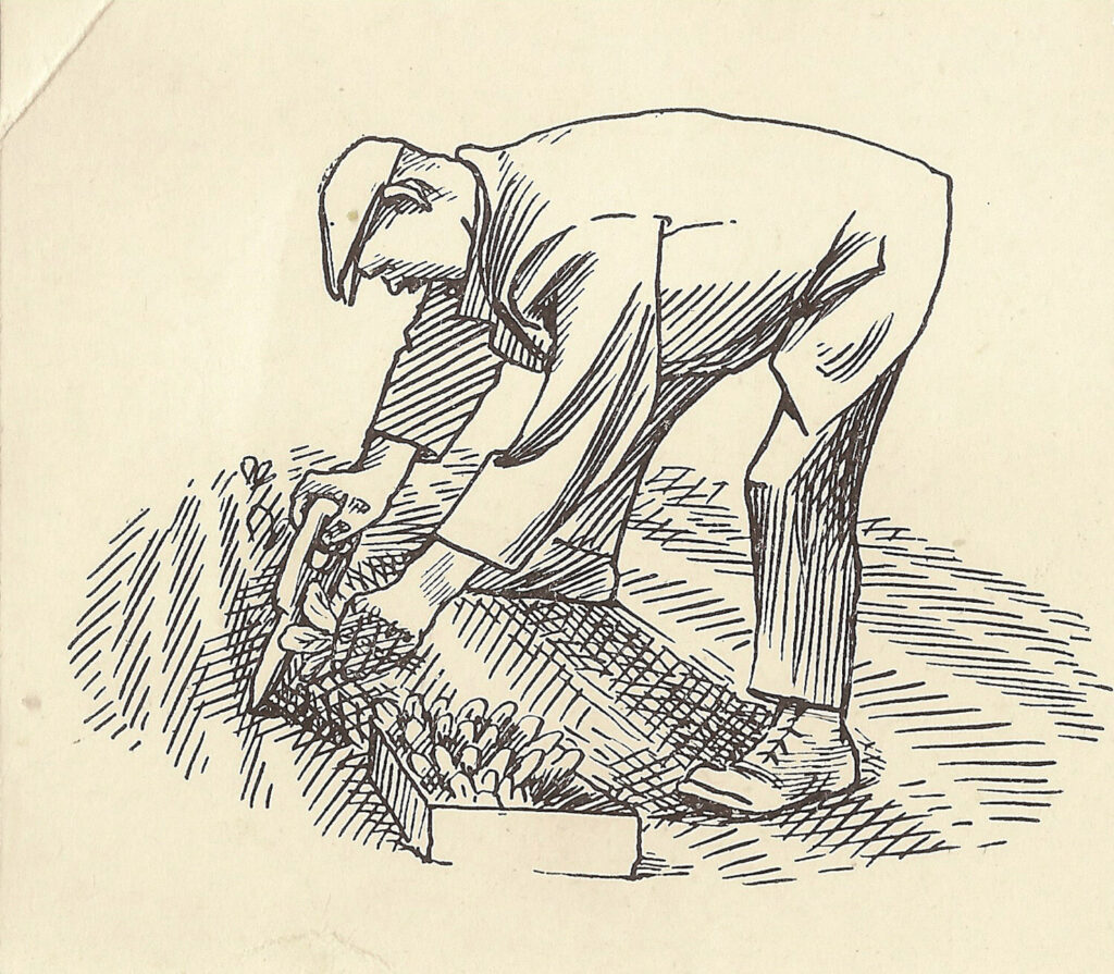 Evelyn Dunbar and Charles Mahoney - Design for page 21