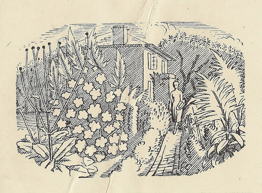 Evelyn Dunbar and Charles Mahoney - Design for page 43