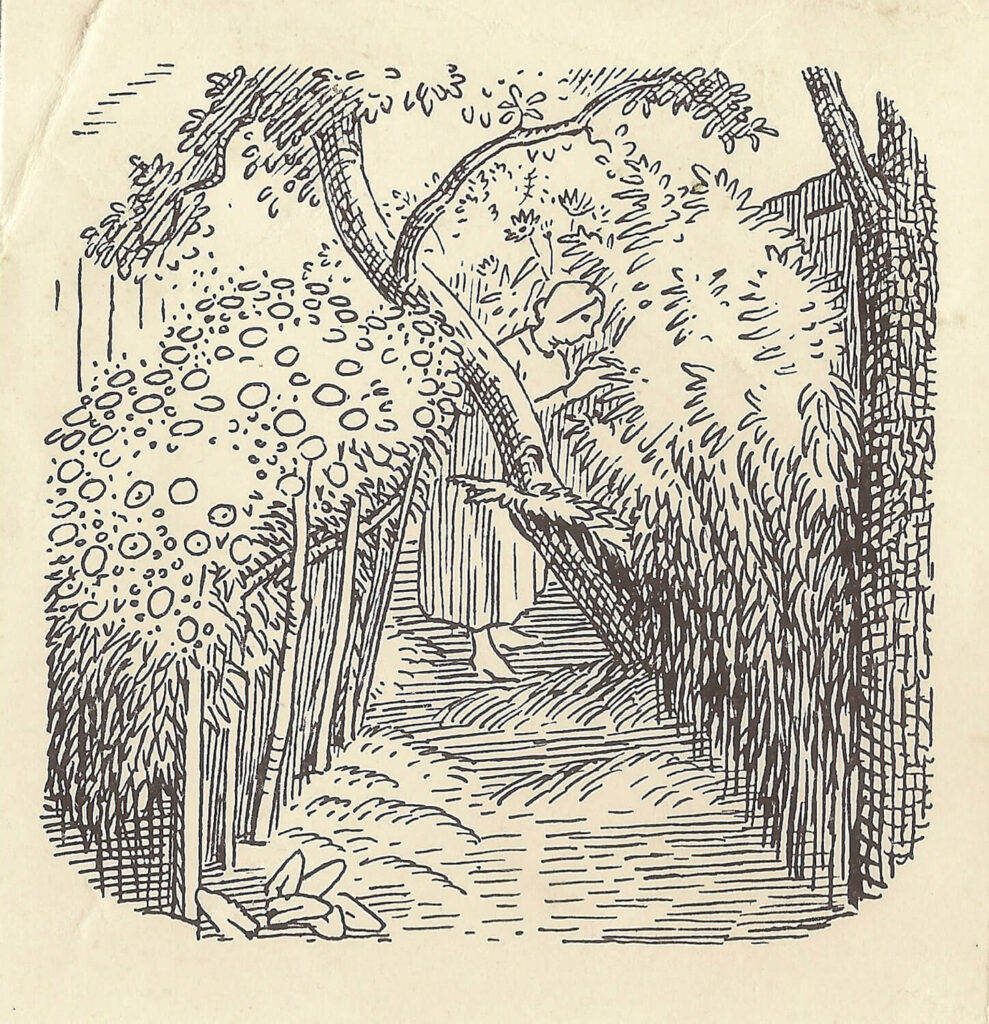 Evelyn Dunbar and Charles Mahoney - Vignette design for Gardeners Choice