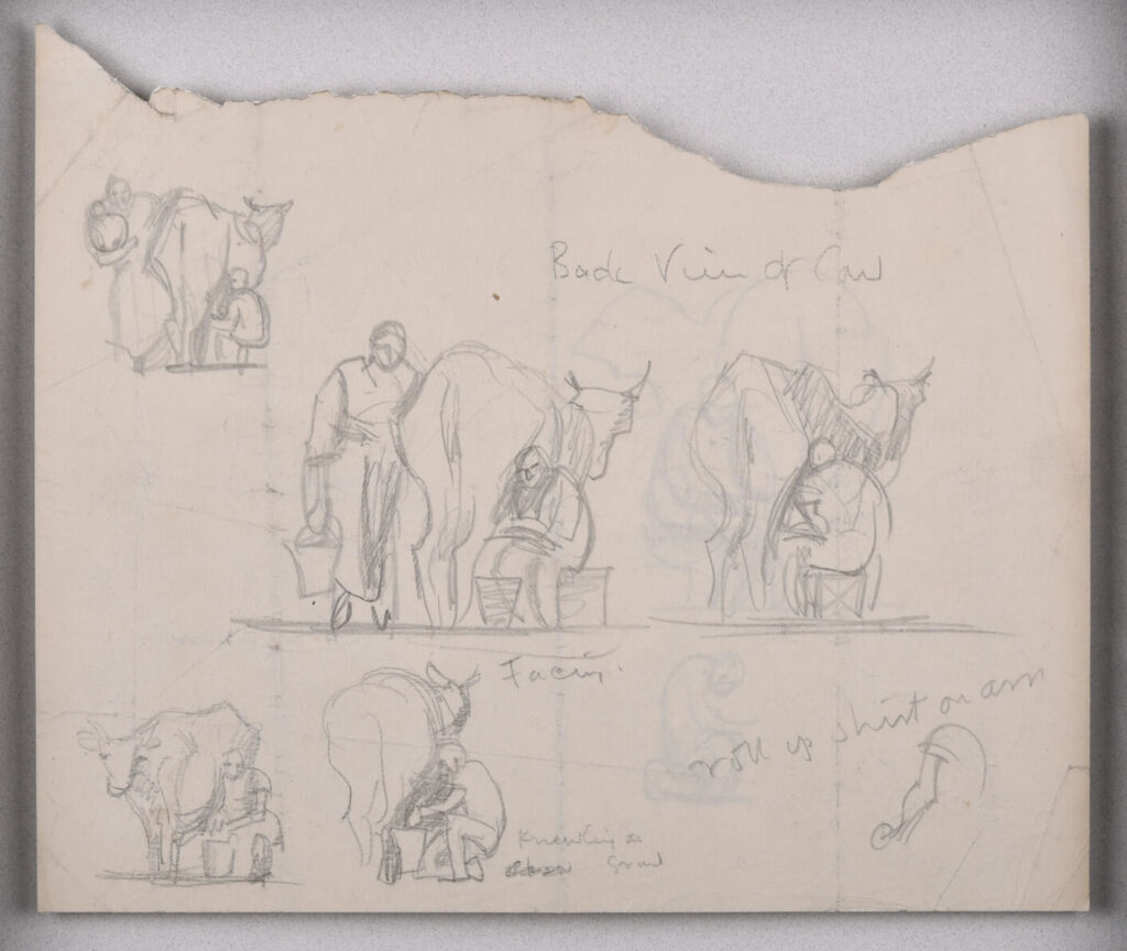 Frank Brangwyn - Back view of cow- sheet of studies