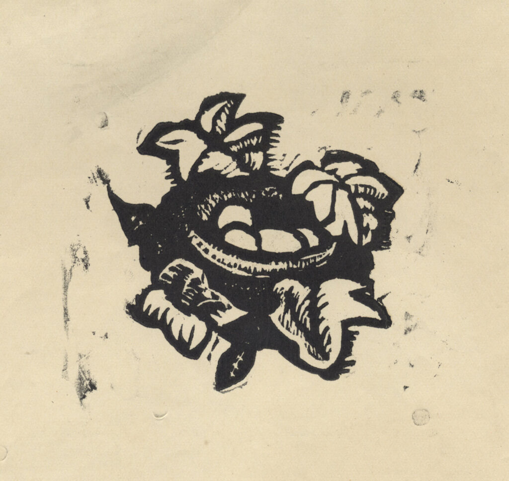 Frank Brangwyn - Bird's Nest (V-3599)