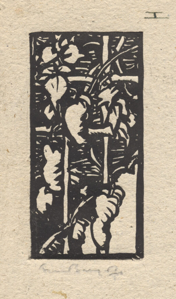 Frank Brangwyn - Bookplate - Vine leaves (X 3607)
