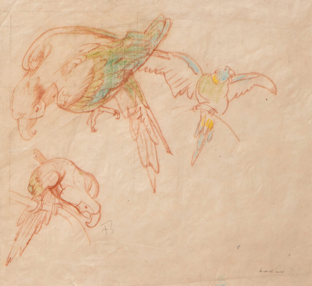 Frank Brangwyn - Parrot - Original Study for the Great Empire Panels