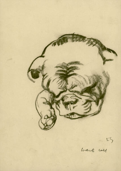 Frank Brangwyn - Sleeping baby pug