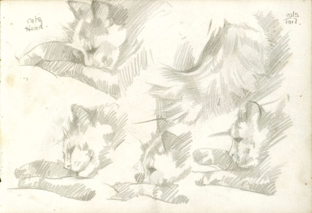 Hubert Arthur Finney - Cats head