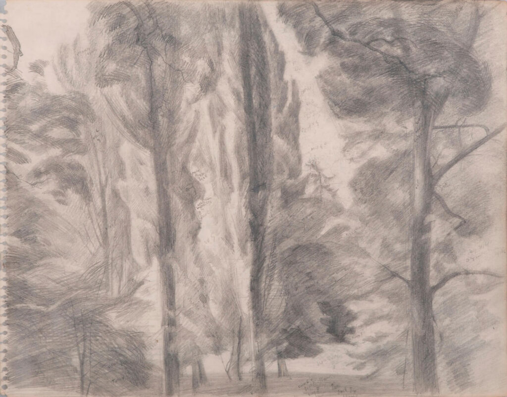 Hubert Arthur Finney - Study of Woods