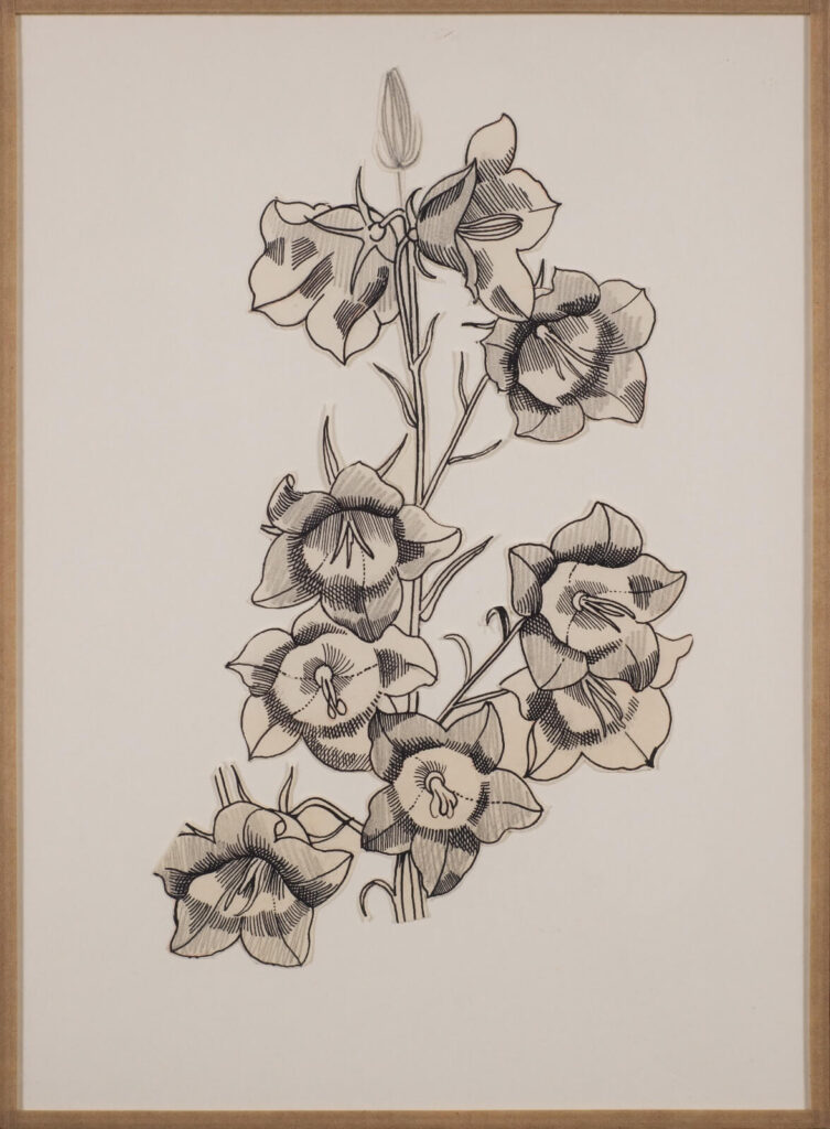 John Nash - Campanula