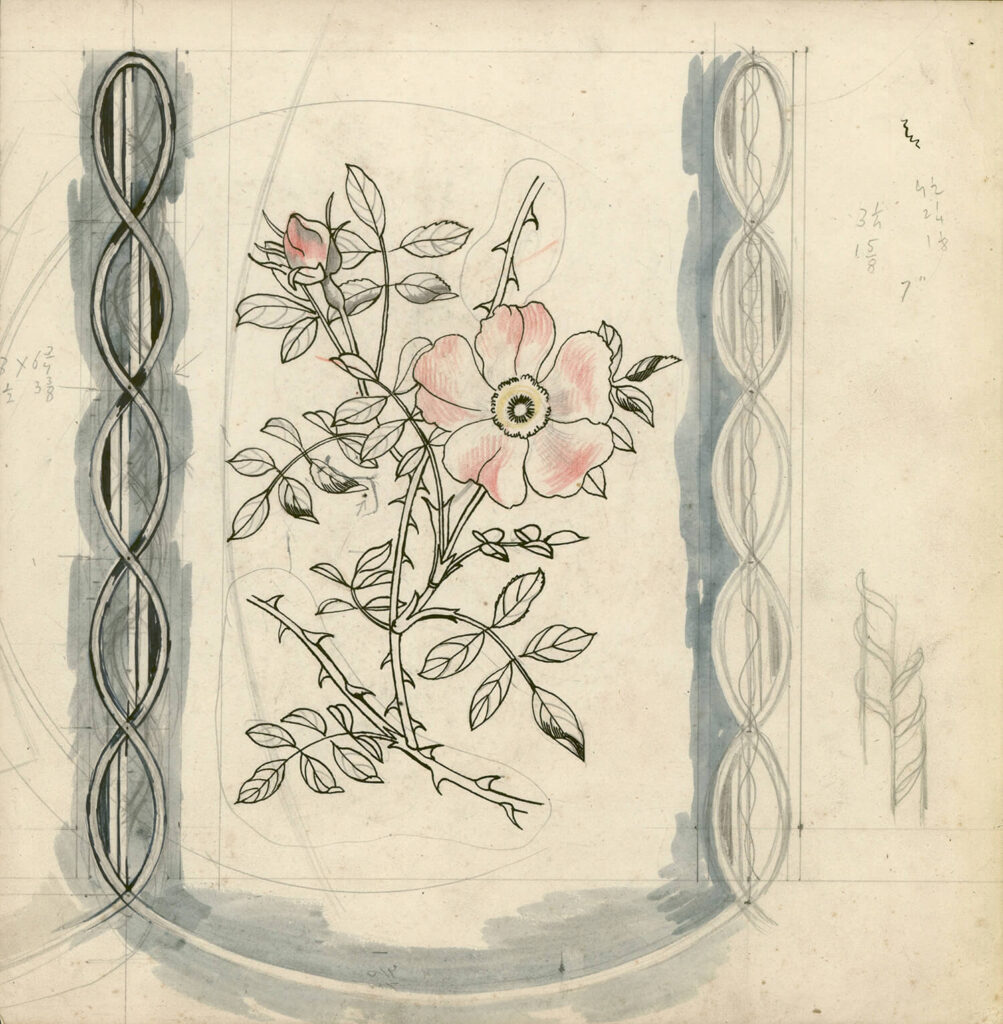 John Nash - Study of a wild rose