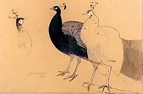 John Sergeant - A Peacock and Peahen