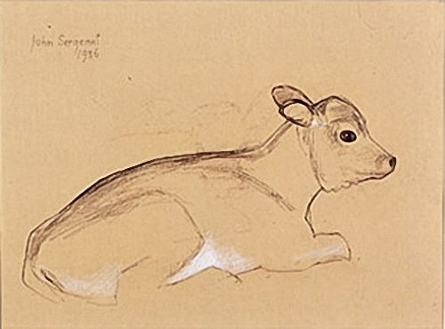 John Sergeant - Study of a Calf