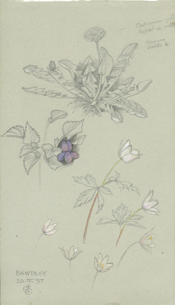 Joseph Southall - Flower Studies