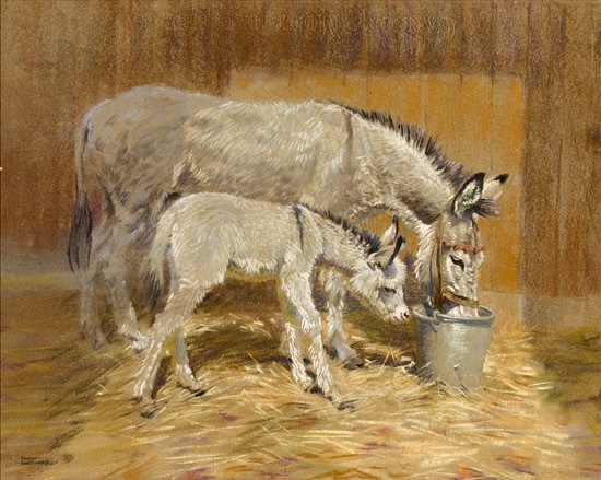 Raymond Sheppard - Donkeys