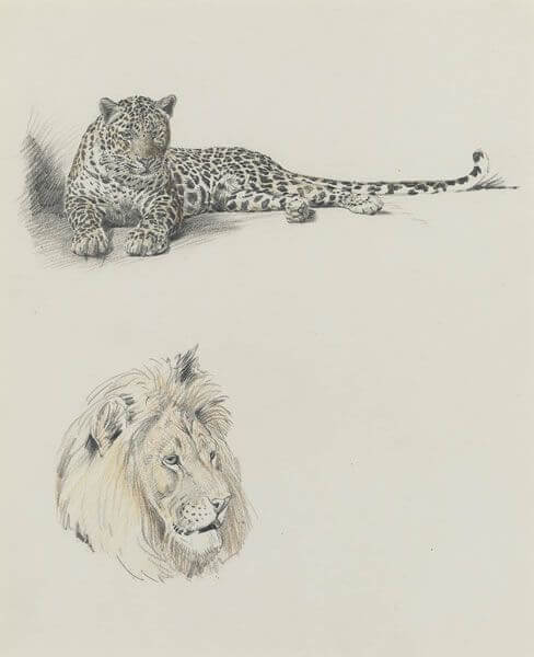Raymond Sheppard - Leopard and head of a lion