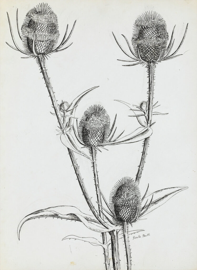 Rosalie Brill - Thistles