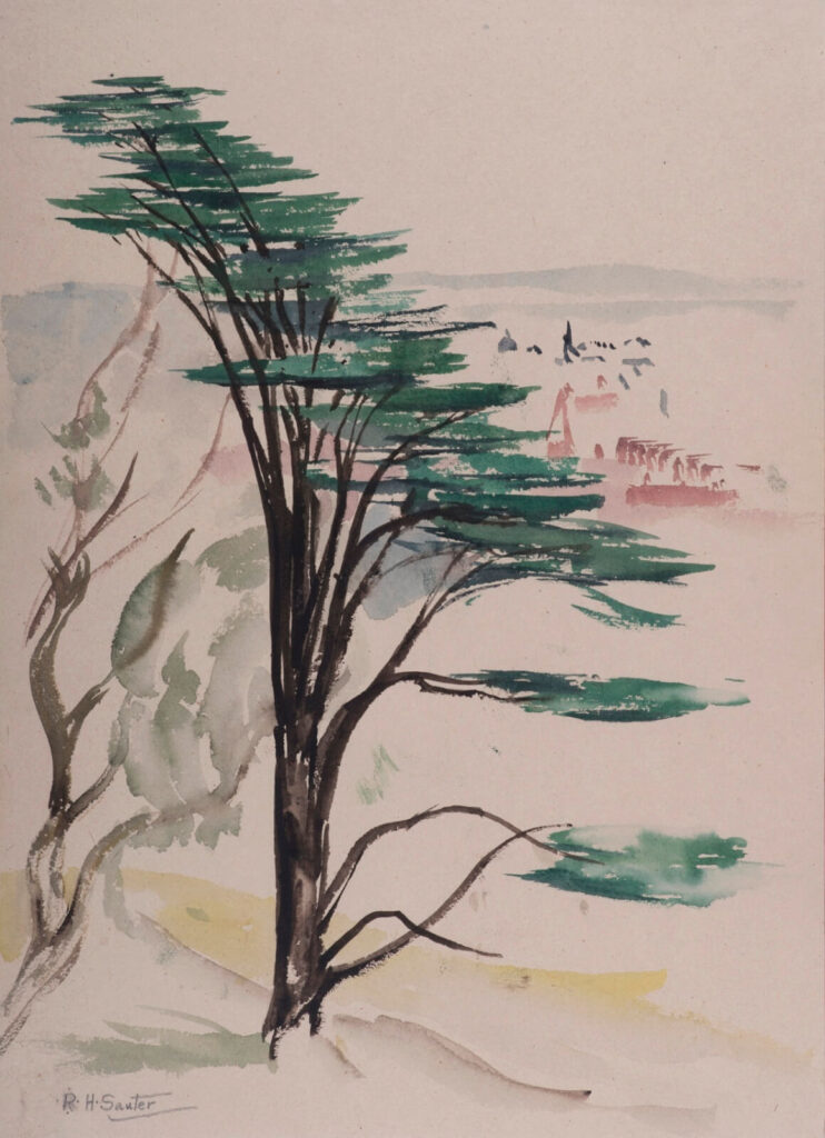 Rudolf Sauter - Japanese black pine tree above Malvern