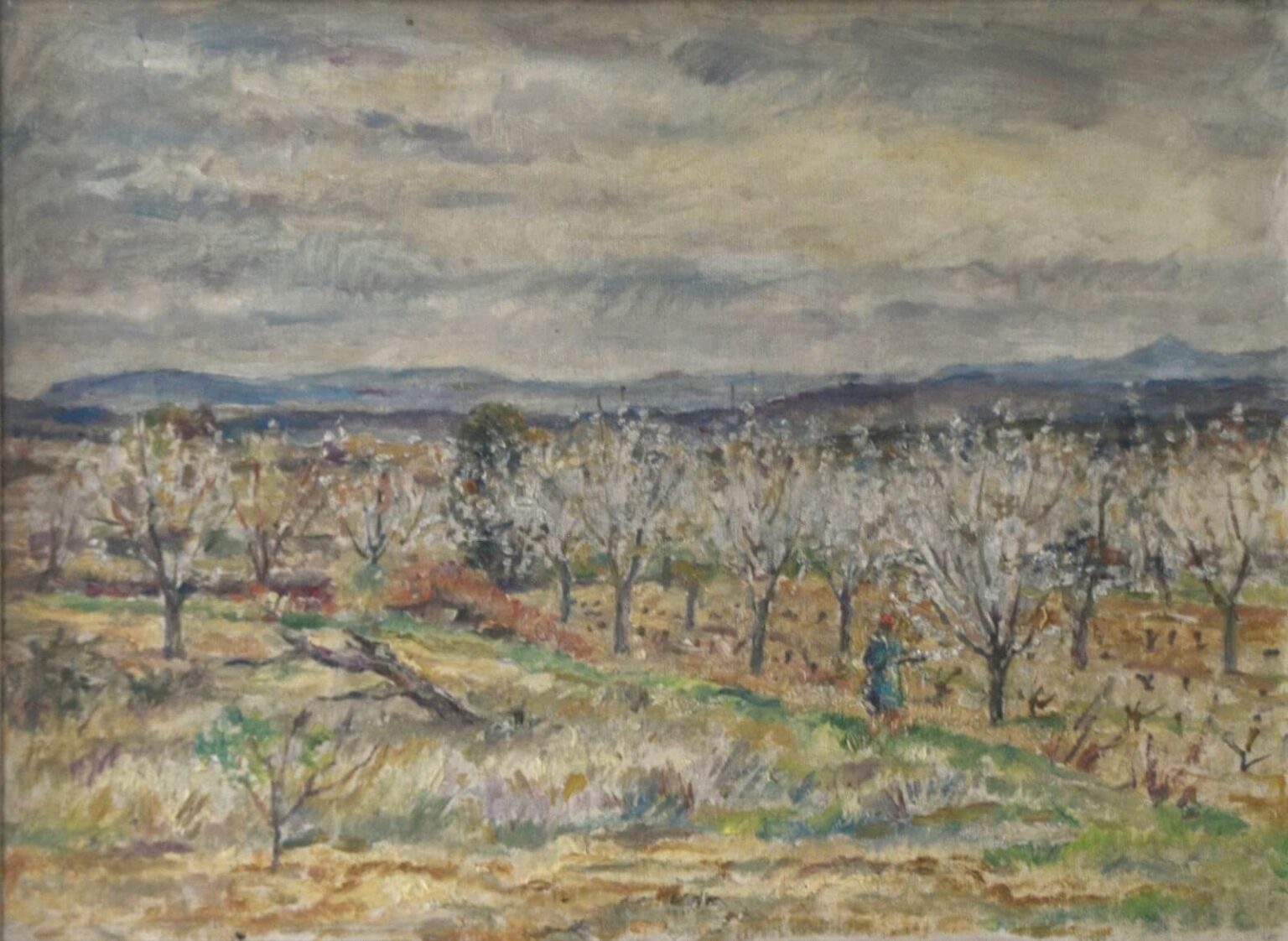 Thomas Barclay Hennell