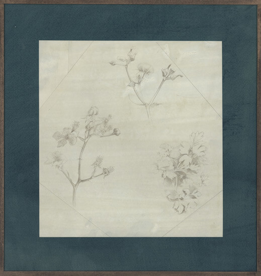 Victor Hume Moody - Study of branches and flowers