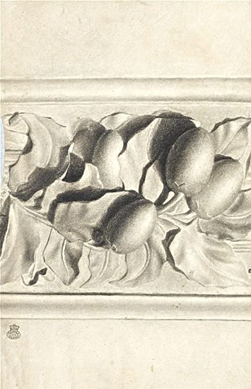 Walter Bonner Gash - Drawing of fruit from plaster cast in relief