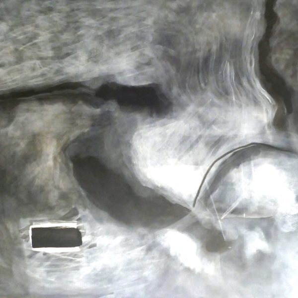 196502 Landscape, turbid, grey 2