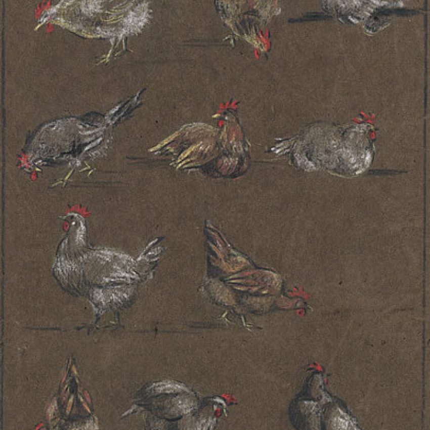 Barbara Constance Freeman