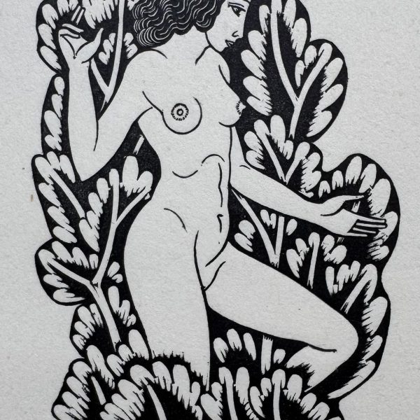 Belle Sauvage IV P623