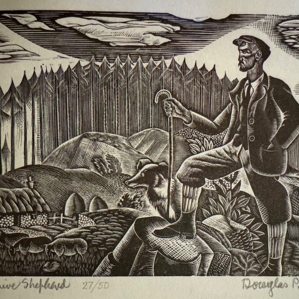 Bliss-Morayshire Shephard