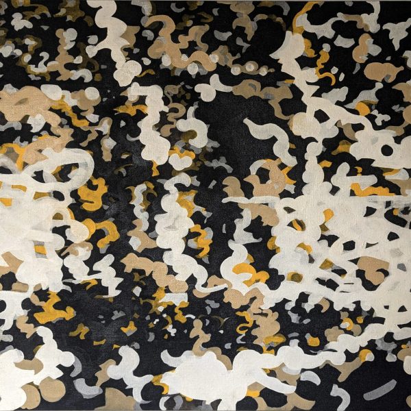 C9756BD7-66CF-4CA4-8774-8D22A7429C94_1_201_a