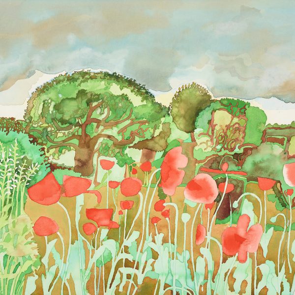 David Evans (1929–1988) - Wild of poppies