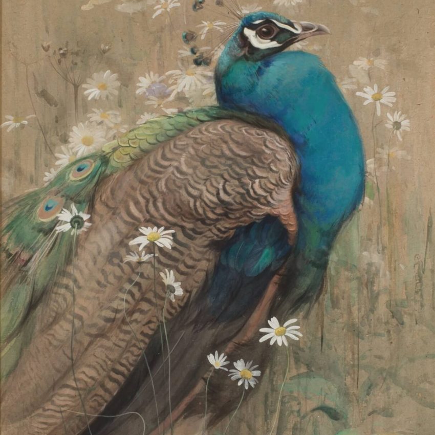 Edwin John Alexander