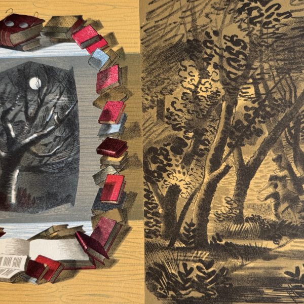 Freedman Christmas Greetings